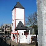 2013_mainz_07