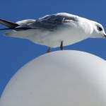 2013_ruegen_binz_16