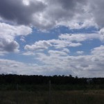 2015_radtour_1_03